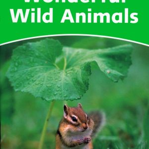 Dolphin Readers 3:Wonderful Wild Animals(Story+WB)