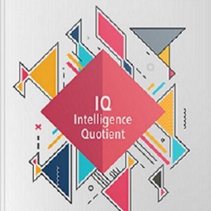 YÖS IQ Intelligence Quotient Puza Yayınları 2021