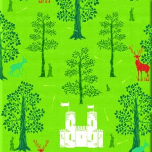 کتاب The Adventures of Robin Hood by Roger Lancelyn Green پارچه ای