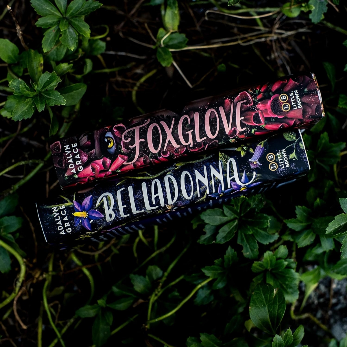 کتاب Foxglove(Belladonna Book2) by Adalyn Grace
