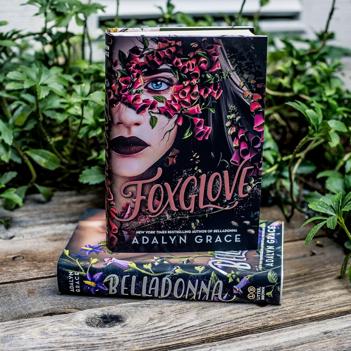 کتاب Foxglove(Belladonna Book2) by Adalyn Grace