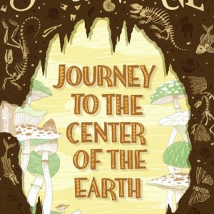 کتاب Journey to the Center of the Earth by jules verne جلد پارچه ای