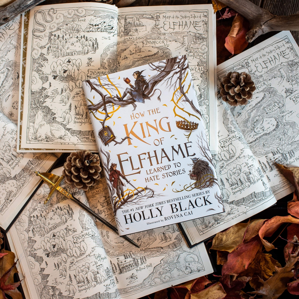 کتاب How the King of Elfhame Learned to Hate Stories by Holly Black رنگی