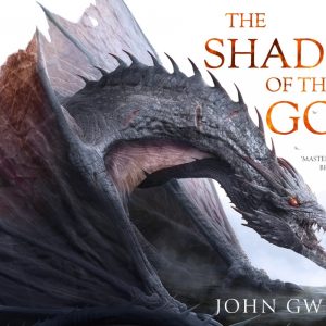 کتاب The Shadow of the Gods by John Gwynne