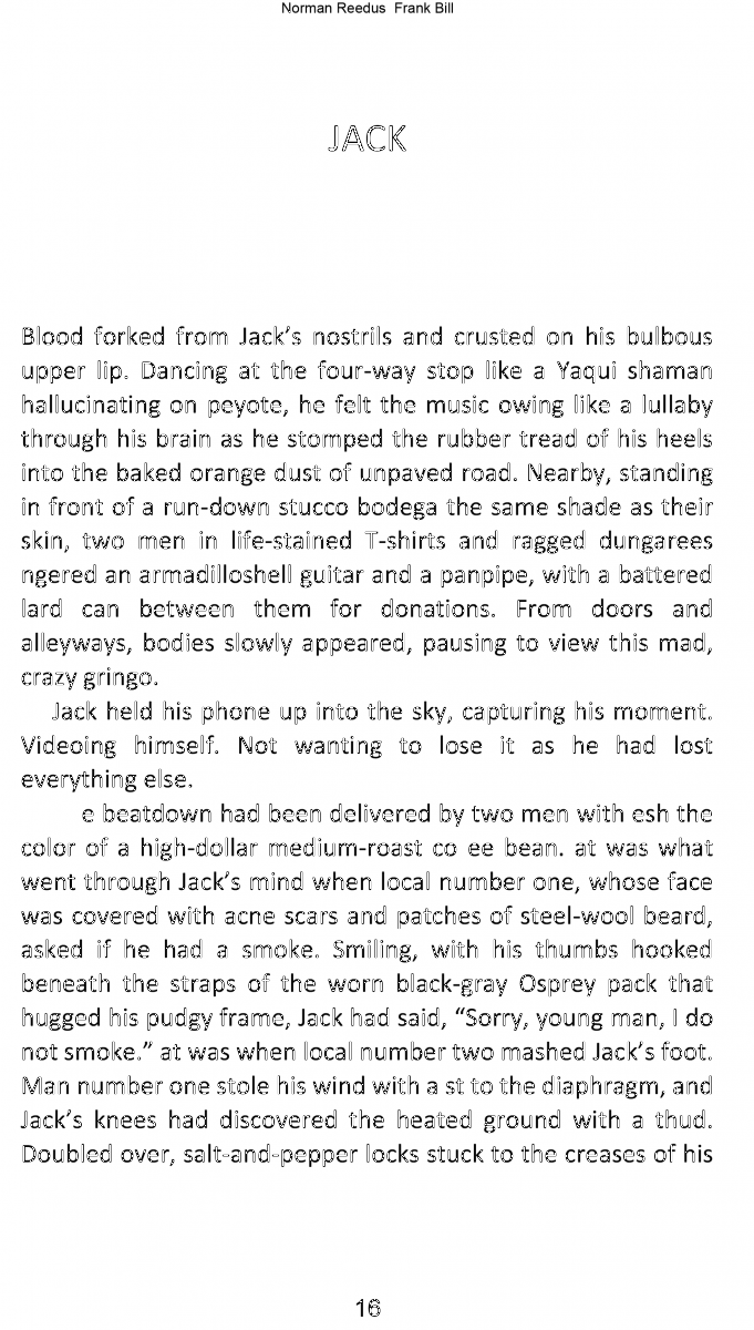 کتاب The Ravaged by Frank Bill and Norman Reedus