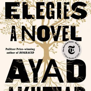 Homeland Elegies by Ayad Akhtar