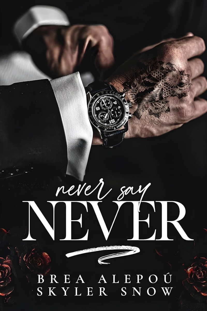 کتاب Never Say Never (VITALE BROTHERS BOOK 4) by Skyler Snow