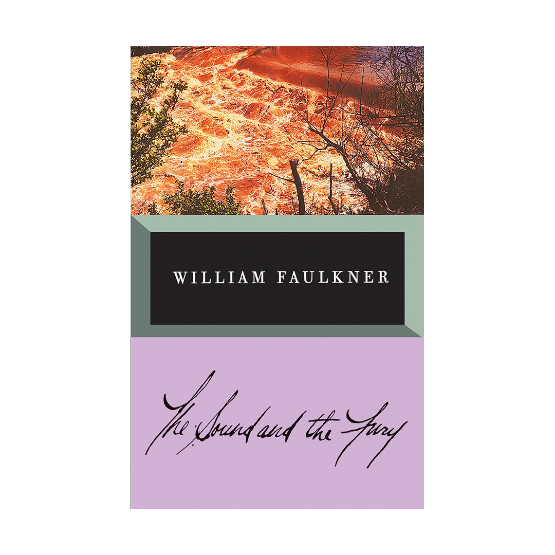 کتاب The Sound and The Fury by william faulkner