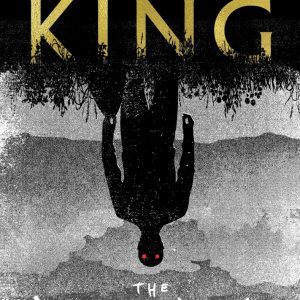 the outsider stephen king