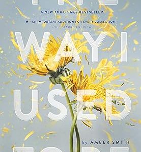 کتاب The Way I Used to Be by Amber Smith