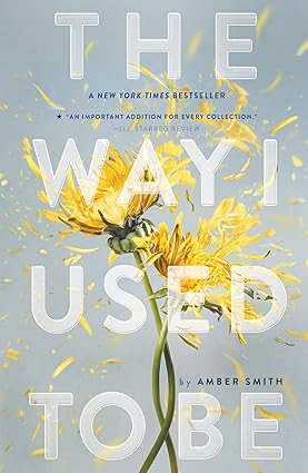 کتاب The Way I Used to Be by Amber Smith