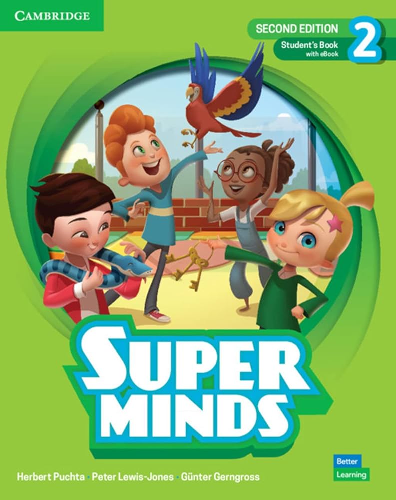 SUPER MINDS 2 2nd edition فلش کارت