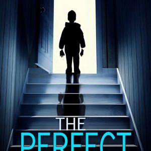 کتاب The Perfect Son by Freida McFadden