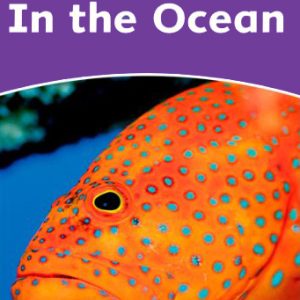Dolphin Readers 4:In the Ocean(Story+WB)