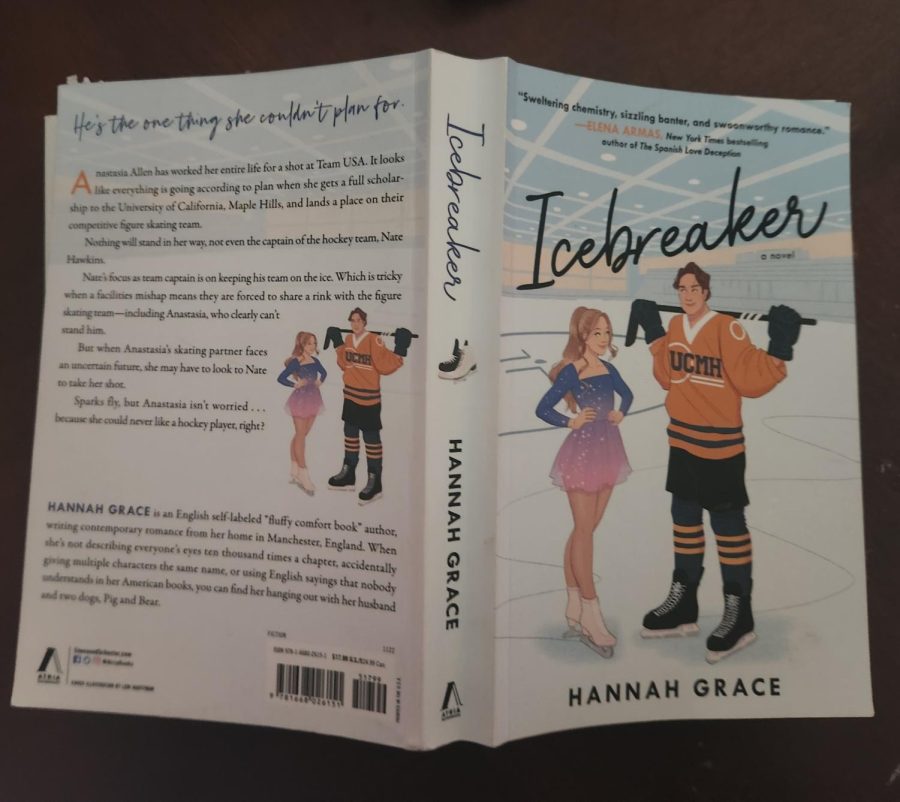 کتاب Icebreaker by Hannah Grace