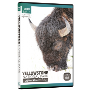 مستند پارک ملی یلو استون YELLOWSTONE