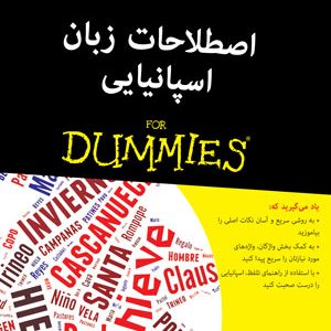 اصطلاحات زبان اسپانیایی دامیز