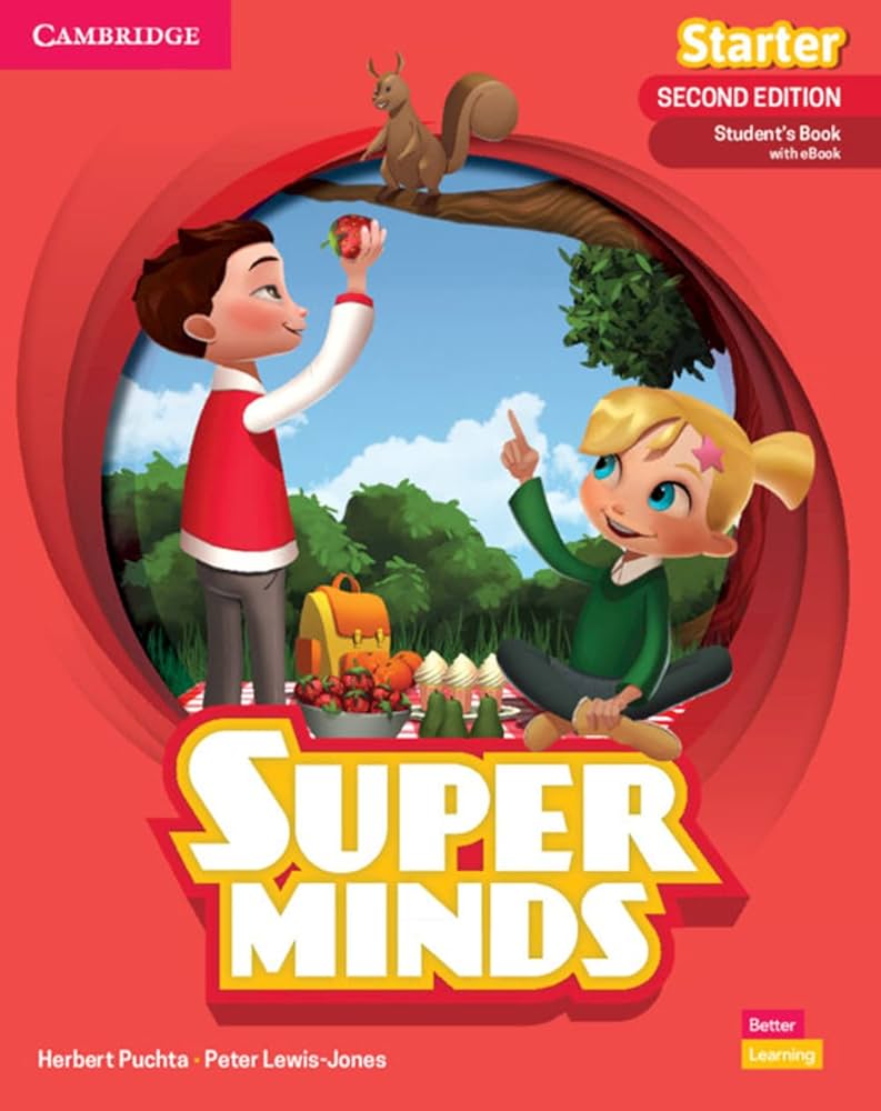 SUPER MINDS STARTER 2nd edition فلش کارت