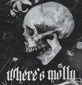 کتاب Wheres Molly (Hunting Adeline spin-off) By H.D Carlton