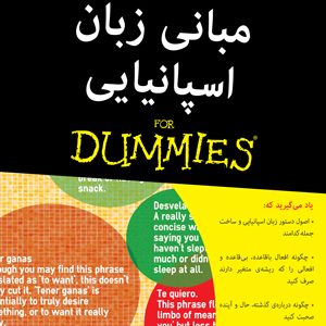مبانی زبان اسپانیایی دامیز