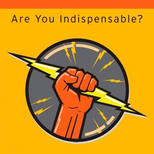 کتاب Linchpin: Are You Indispensable? by Seth Godin