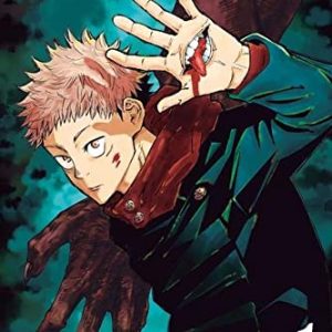 Jujutsu Kaisen 1 by Gege Akutami