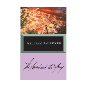 کتاب The Sound and The Fury by william faulkner