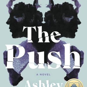 کتاب The Push by Ashley Audrain