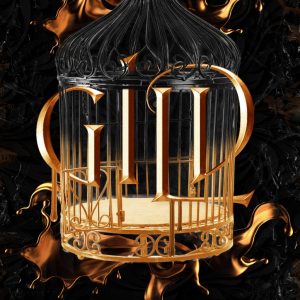 کتاب Gild Book 1 by Raven Kennedy