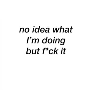 کتاب no idea what I'm doing but f*ck it by Ron Lim